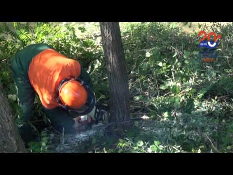 Esercitazione Tanaro Amico Ceva, Nucetto