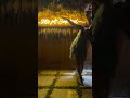 Goadiaries Poonambajwa