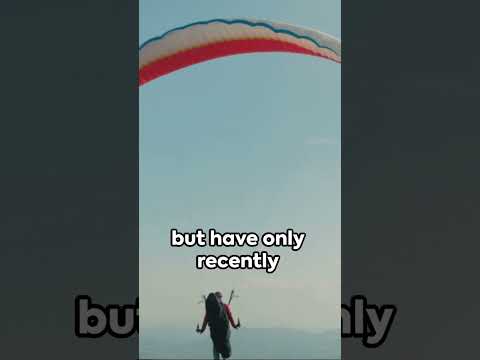 Conquer Your Fear: The Ultimate Freefall Experience Uncovered #skydiving #confidence #adventure