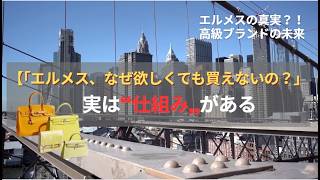 なぜバーキンは「買えないバッグ」と言われるのか?実は仕組みがあった!いまバーキンはレンタルの時代に進化!情報トレンド高級ブランドの未来 #hermes #海外生活 #エルメスバーキンの真実