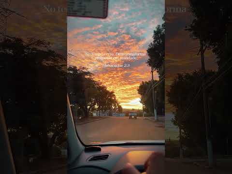 Obrigado Deus! #bençãos #belezanatural #deusperfeito