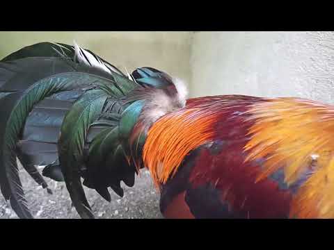 Bruce Barnett Sweater.