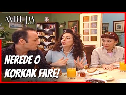 Sacit, Burhan'ın peşinde! - Avrupa Yakası 117. Bölüm