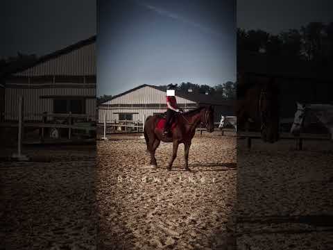 Collected head🔛🔝 (( #NoseyCooper