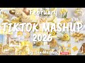 Tiktok Mashup February 2026 Not Clean