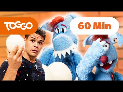 Das Beste von Woozle Goozle | BEST OF TOGGO | Ganze Folgen