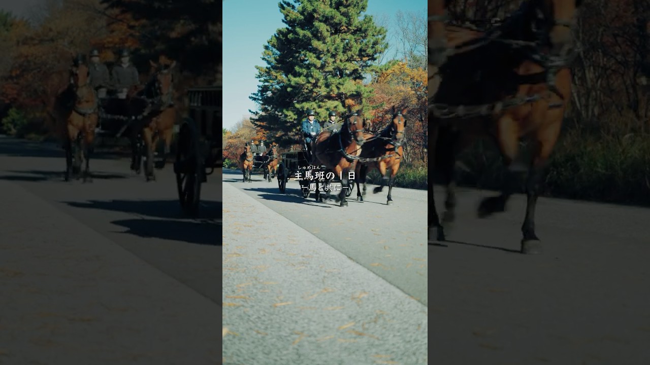 主馬班の1日 ｰ馬と共にｰ