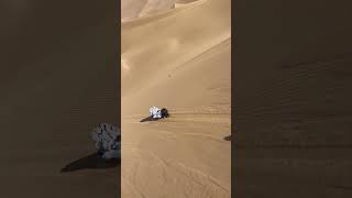 Download lagu Watch till the end ๐ฎ๐ฎ #viral #youtubeshorts #skydiving #adventure #zipline #trending #bunjeejumping mp3 Download lagu Watch till the end ๐ฎ๐ฎ #viral #youtubeshorts #skydiving #adventure #zipline #trending #bunjeejumping mp3