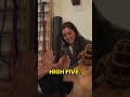 Maggie the Pitbull Mix Gets Wellness Session with The Animal Chiropractor! (So Many CRACKS)