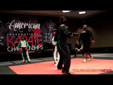 Unknown vs Ali Violia at North American International Karate Championship 2013