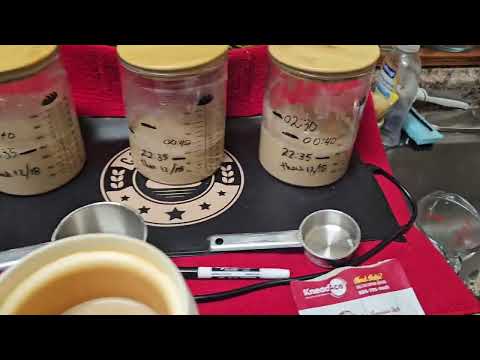 Cozy Bread & sourdough starter use.