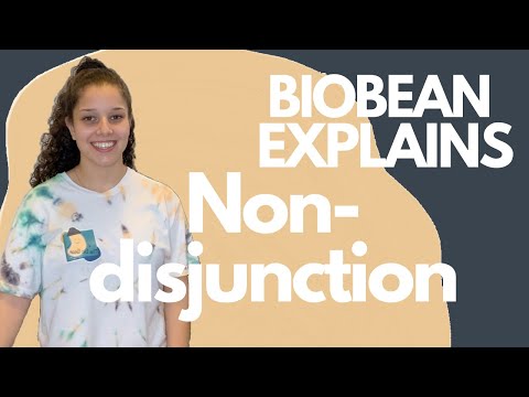 BIOBEAN EXPLAINS: Non-disjunction and Trisomy