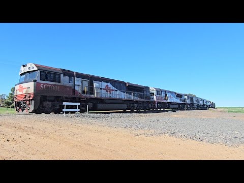 5PM9 SCT up "Dark Ghost" (5 locos), Forrestfield to Laverton, 0930, 14/9/25, Dooen VIC 