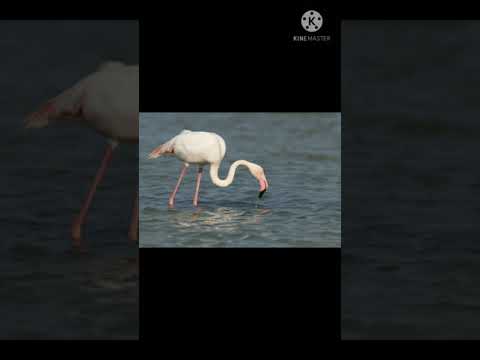 Hidden 🌅"Mini beach at Nerul "🌅