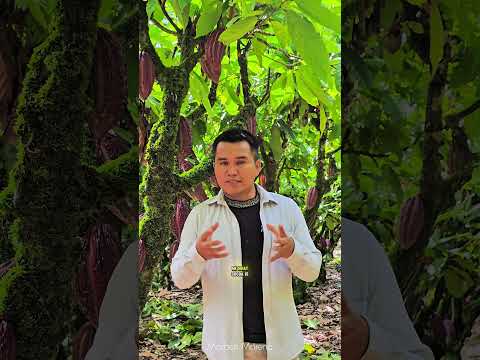 Estuvimos en el relanzamiento de la cooperativa agraria paraíso en la región Huanuco🇵🇪👩‍🌾#peru