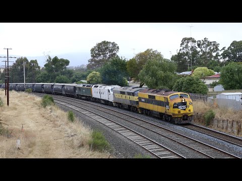 A Rainbow of Locomotives / SSR CM MC grain Trains