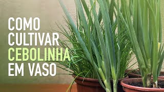 Miniatura do vídeo