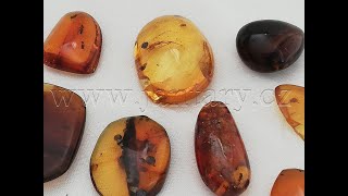  Křídový jantar SJ-31