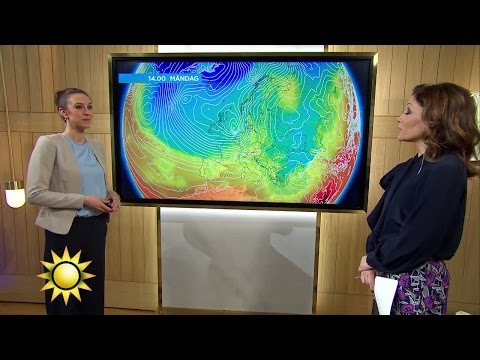 Väderspecial: Soligt och blåsigt läge - Nyhetsmorgon (TV4)