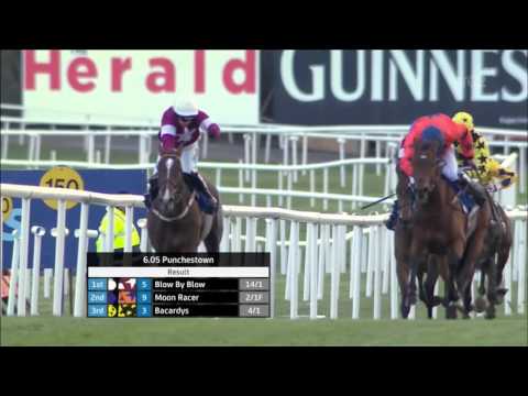 Blow by Blow - 2016 Punchestown Champion Bumper- Race and Reaction