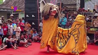 Download lagu Barongan KKN Satrio Manunggal Singo Manis Festival Kumpulrejo mp3 Download lagu Barongan KKN Satrio Manunggal Singo Manis Festival Kumpulrejo mp3