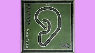 Newtone — Boomin System (Pulse Mix)