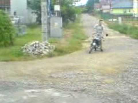 Kółeczka simsonami kielon and bogdan koks