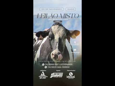 LEILÃO MISTO 20/11/2025 - IRAÍ LEILÕES - IRAÍ DE MINAS-MG