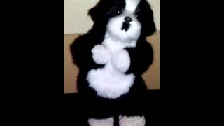 This is Spike dancing to Torche's 'Kiss Me Dudely'