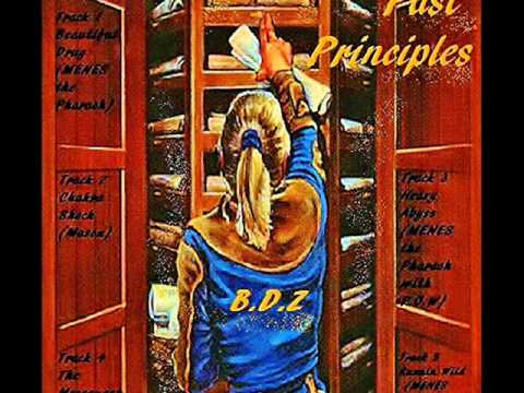 Basement Dwellaz (Mason) - Chakra Shock (Produced by Irie-1)