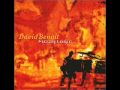 David Benoit - Fuzzy Logic
