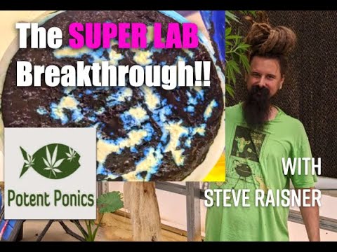 Super LAB – ein KNF SpinOff mit Steve Raisner von PotentPonics