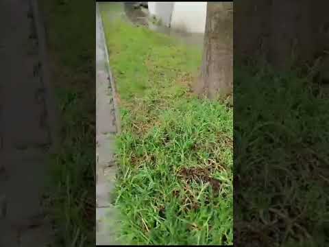 mantenimiento-de-sistemas-de-riego