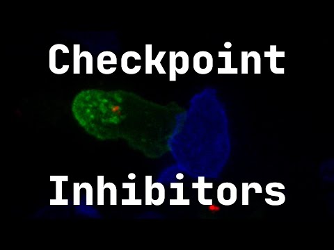 Killing the Kill Switch: Immune Checkpoint Inhibitors in Cancer Immunotherapy