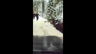 Dashcam Catches Drivers Doing Good