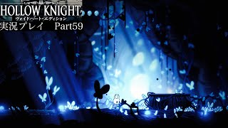 【Hollow Knight】チャーム集め〜後編〜【独り言プレイ#59】