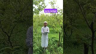 Download lagu Abdullaha konta sura jumar taloyat.#shorts mp3