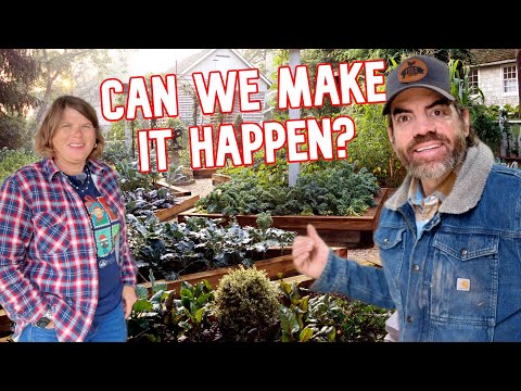 Building Our Dream Kitchen Garden!  (Trying To Overcome The Major Issues) Part 1
