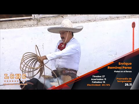 Piales en el lienzo. 2021