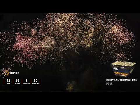 5318 - Chrysanthemum fan