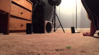 Video thumbnail for Logitech Z-2300 2.1 Desktop Speakers Review by Camera7001