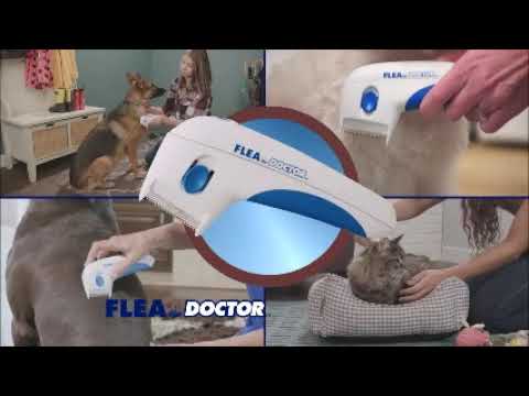 Kills Fleas Without Pesticides!