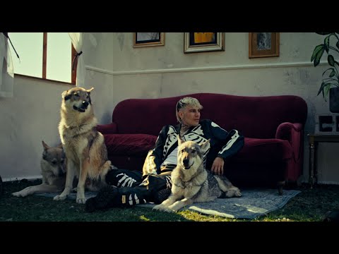 Il Tre - CANI RANDAGI (Official Video)