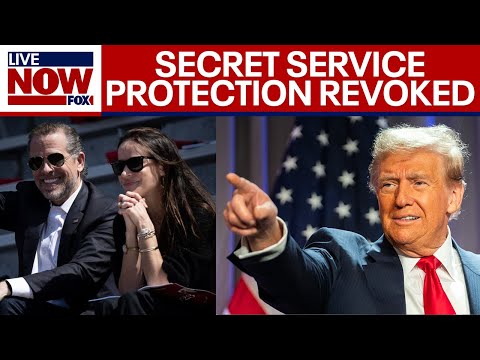 Video | Trump says he's ending Secret Service protection for Hunter Biden | LiveNOW from FOX