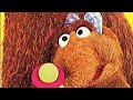 Opening To Sesame Street A New Baby In My House 1996 VHS