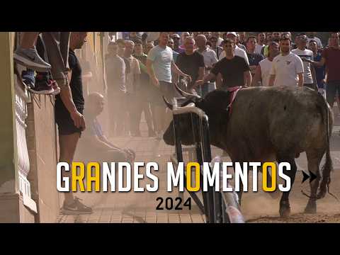 🤩 GRANDES MOMENTOS de 2024 · Treceava parte