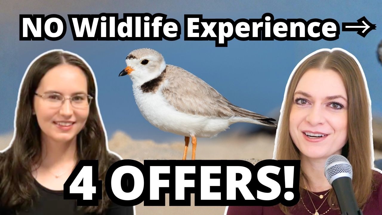 How Christina Got Wildlife Job Offers With ZERO Experience | Fancy Scientist Podcast #150