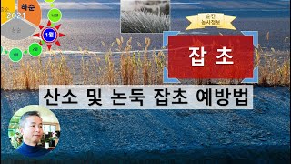 [농사정보(1월 하순)]  잡초_산소 및 논둑 잡초 예방