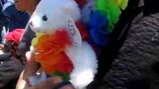 Report from the SF PRIDE PARADE 2007
