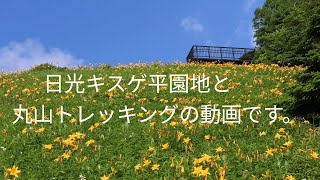 日光市霧降高原にあるキスゲ平園地に、ニッコウキスゲの写真を撮りに出かけました。